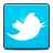 Twitter icon
